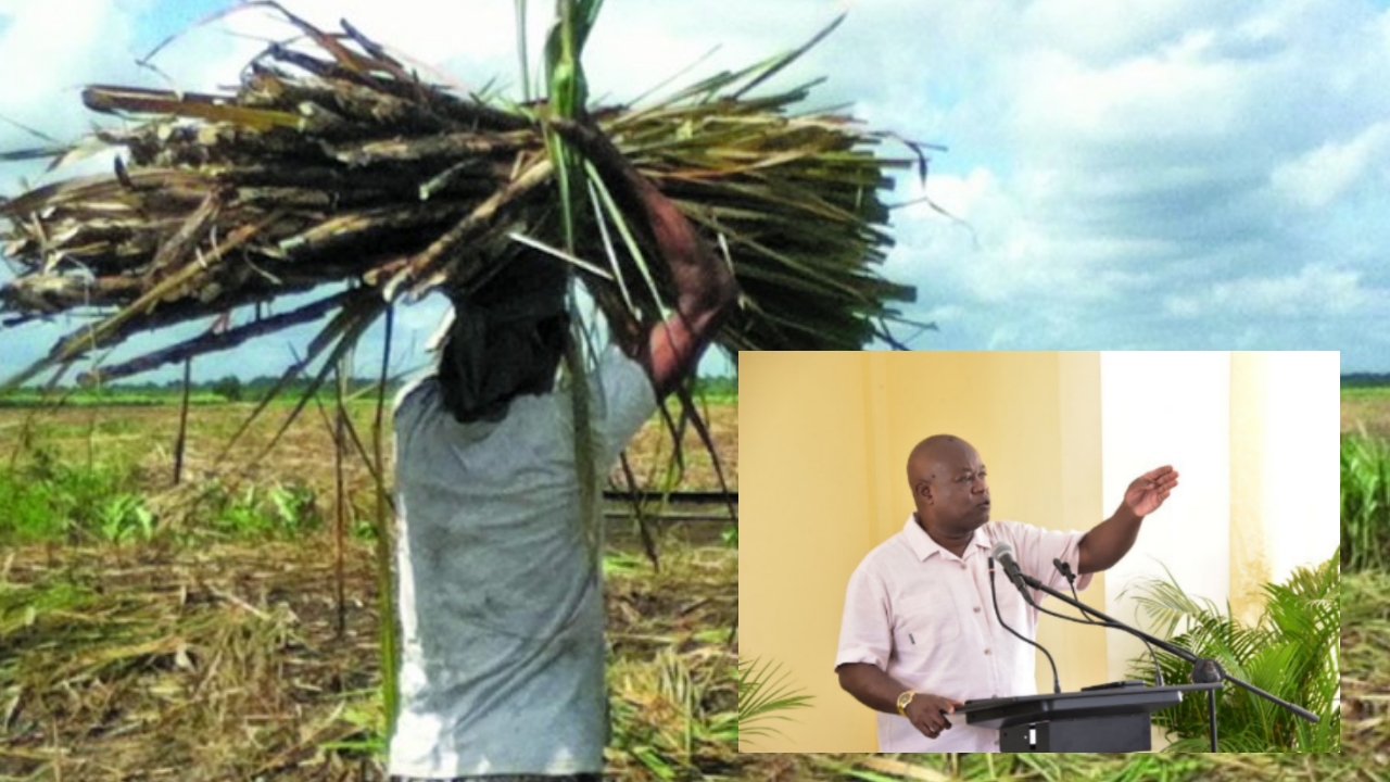 APNU Presidential Candidate Aubrey Norton Addresses Sugar Industry Concerns