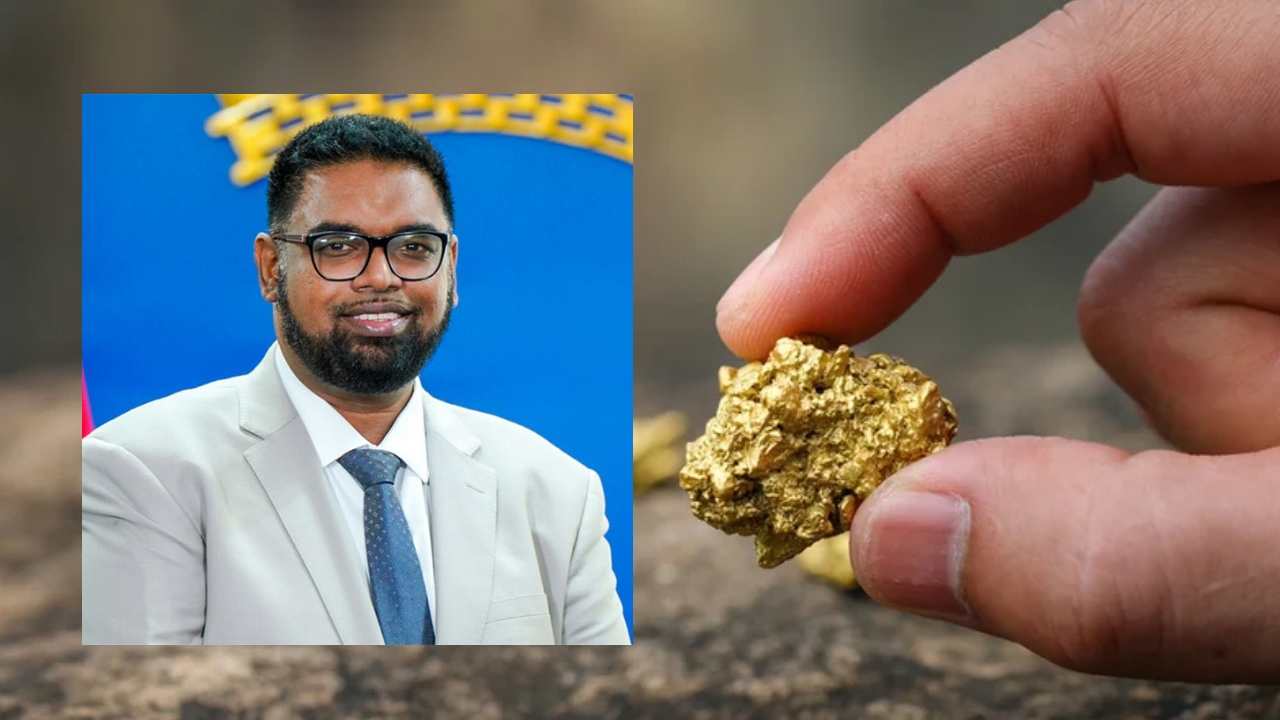 President Ali Commits Resources to Combat Gold Smuggling
