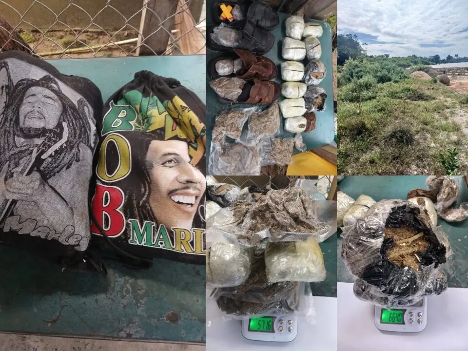 Drug Bust: Over 2,400 Grams of Marijuana Found Near Mazaruni Prison