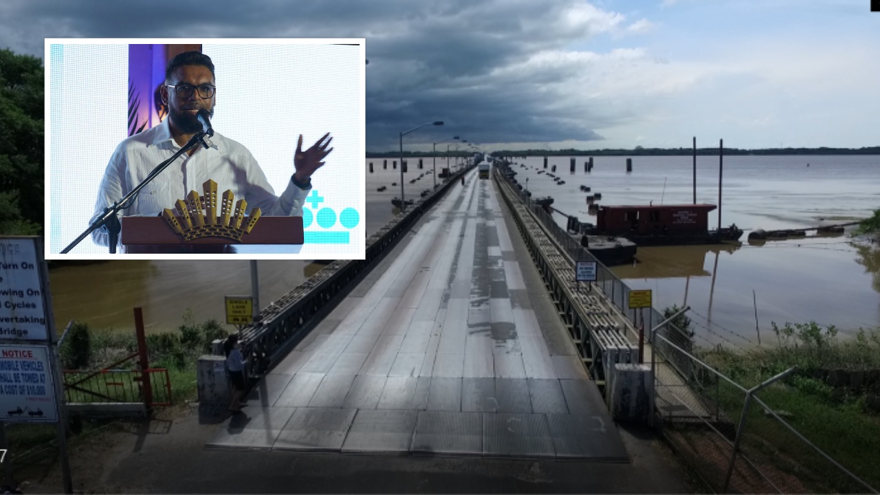 collage 2025 07 01T130309.082