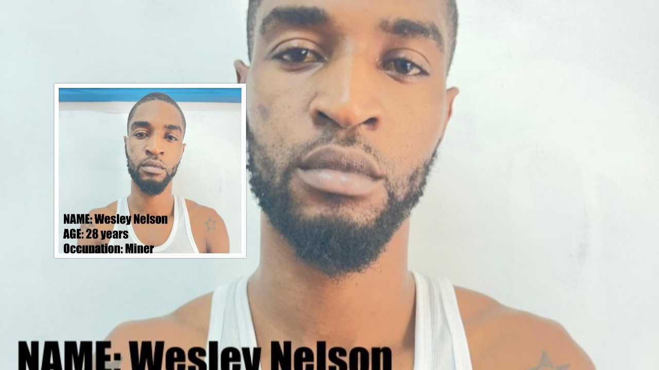 collage 2025 07 01T174328.137