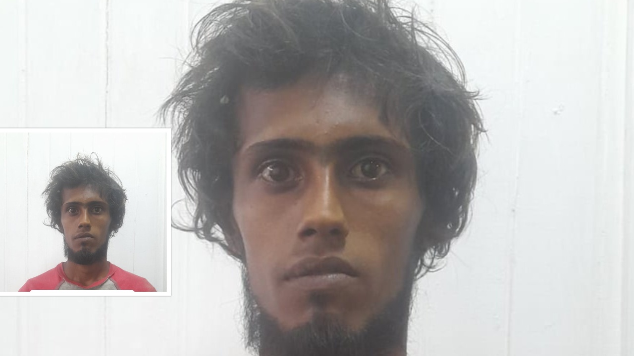 collage 2025 07 04T093017.658