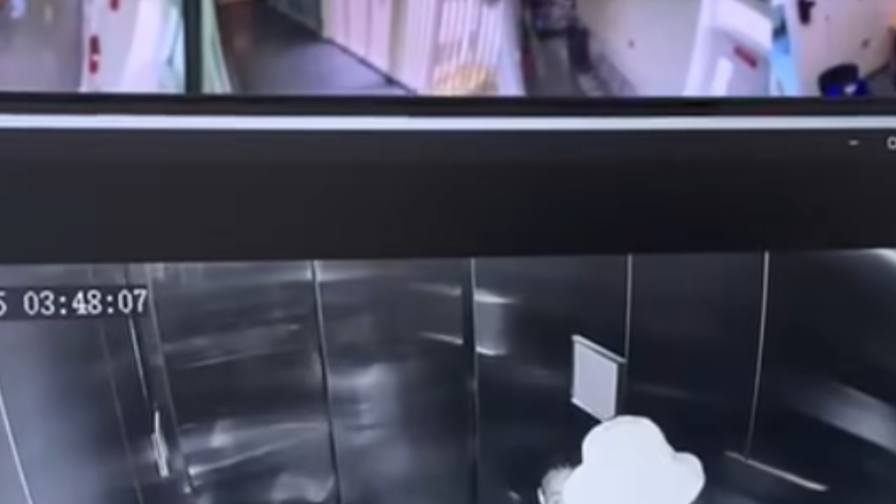 collage 2025 07 25T154341.274