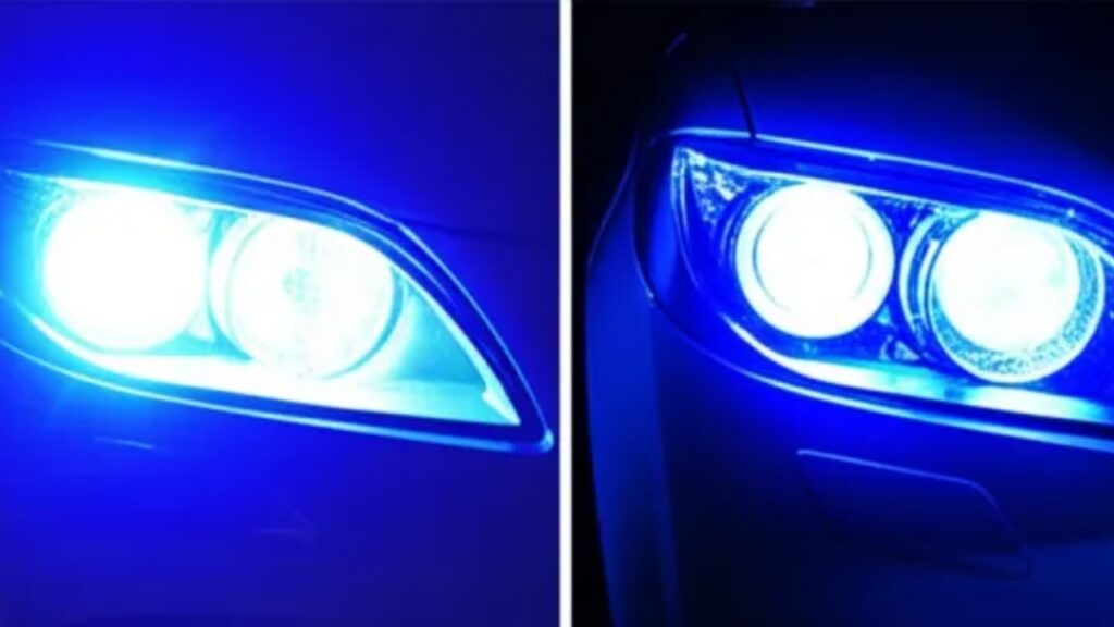 collage 2025 08 04T203453.632