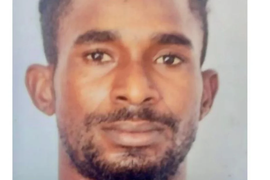 collage 2025 08 04T213822.606