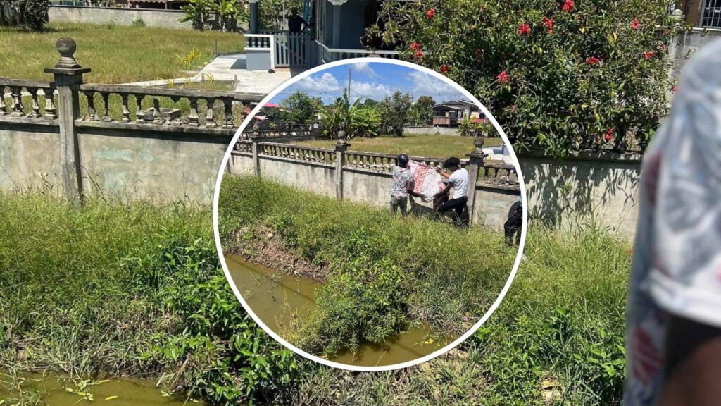 collage 2025 08 05T141216.979