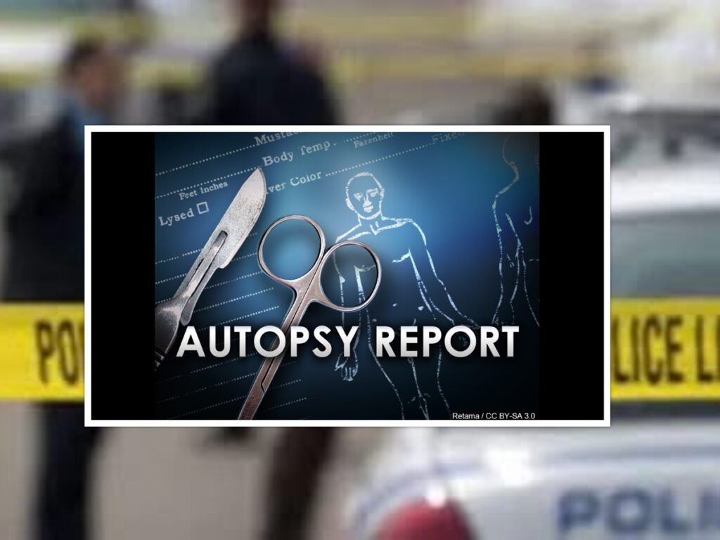 collage 2026 01 09T202206.814