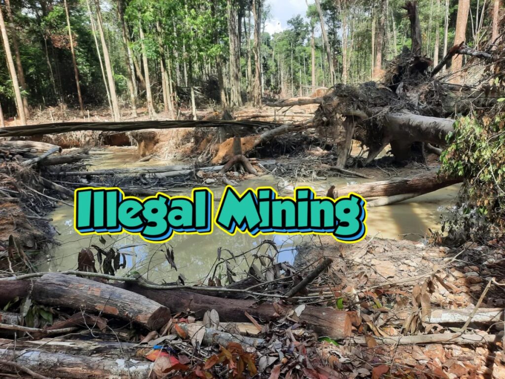 collage 2026 01 22T204412.479