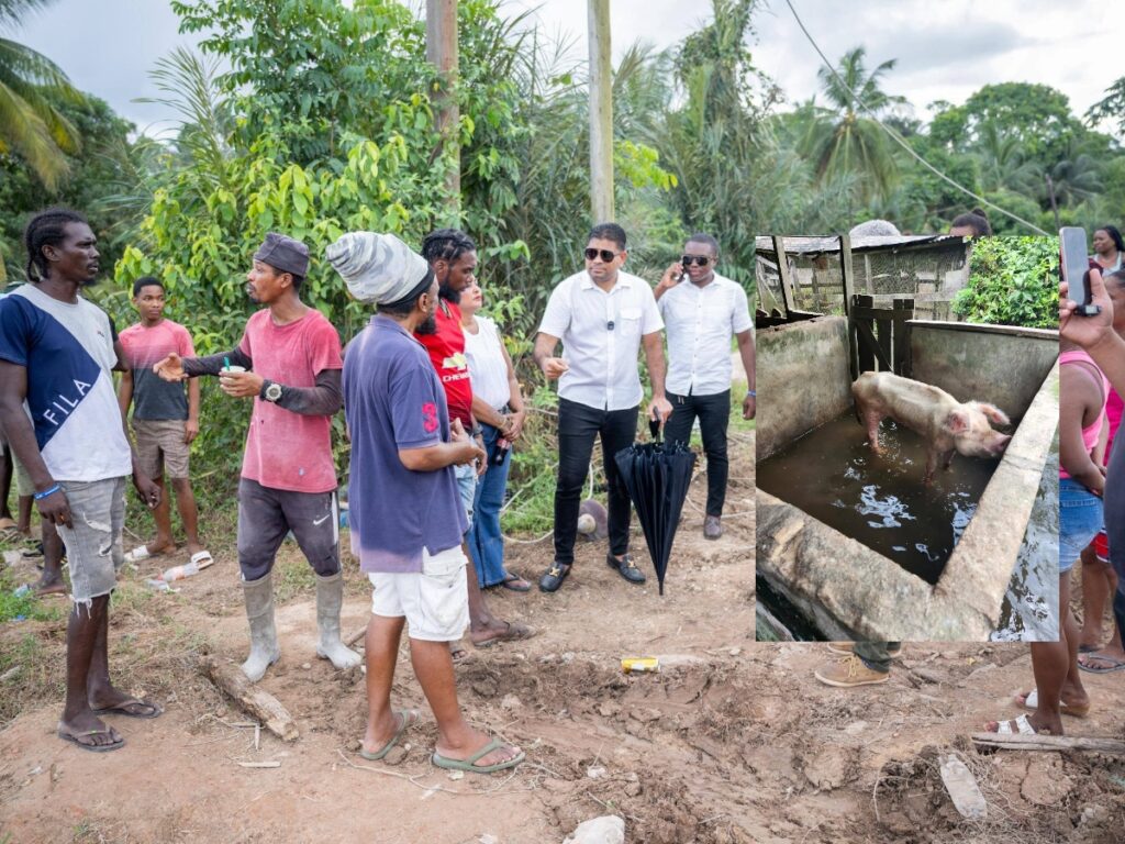 collage 2026 01 29T110538.658