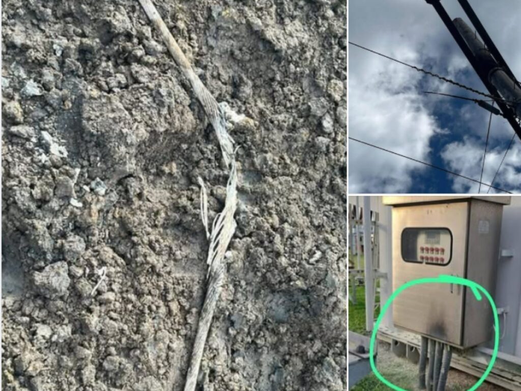 collage 2026 01 29T121208.352