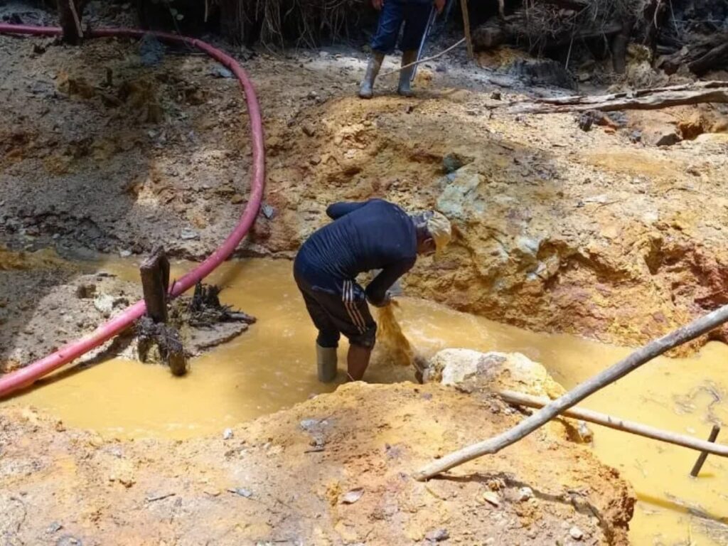 collage 2026 01 31T204918.008