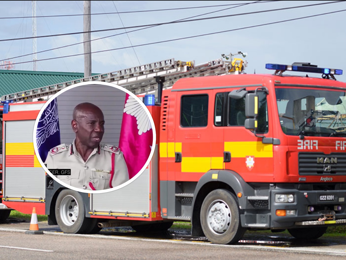 collage 2026 02 02T192747.511