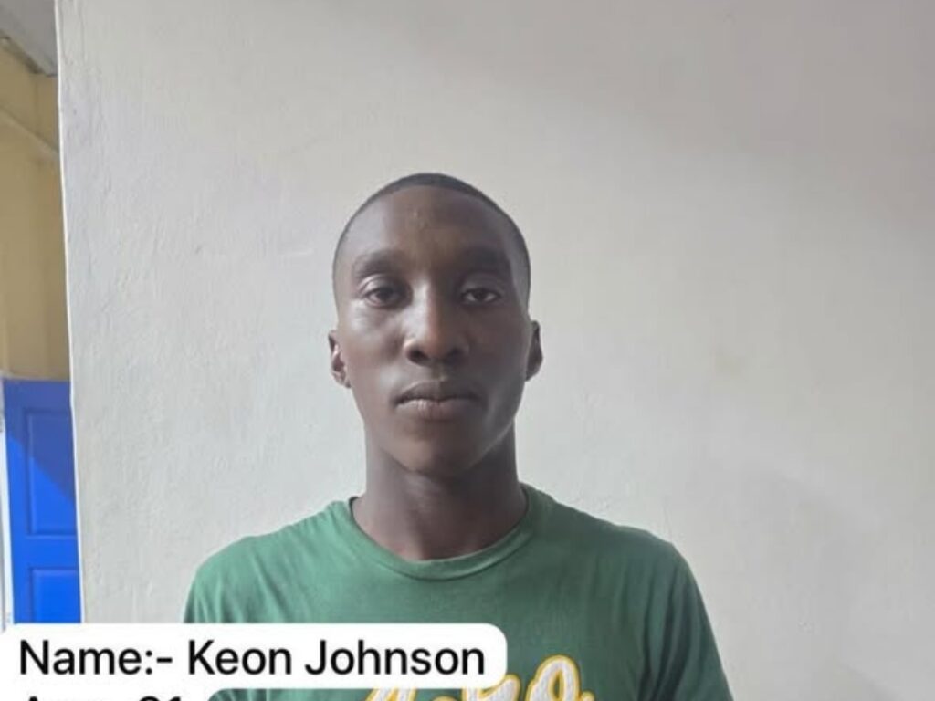 Gold Miner Charged with Multiple Traffic Offenses in Bartica 2 collage 2026 02 03T130329.356