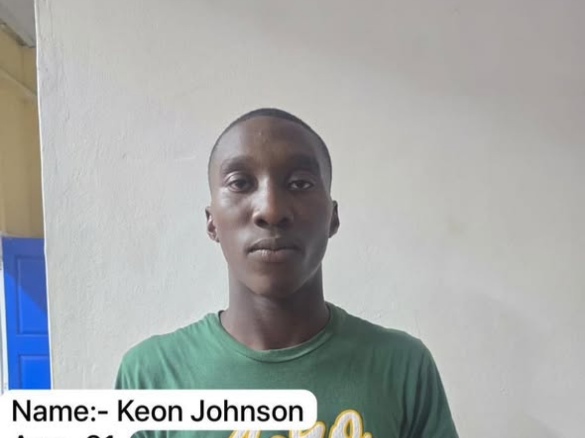 collage 2026 02 03T130329.356