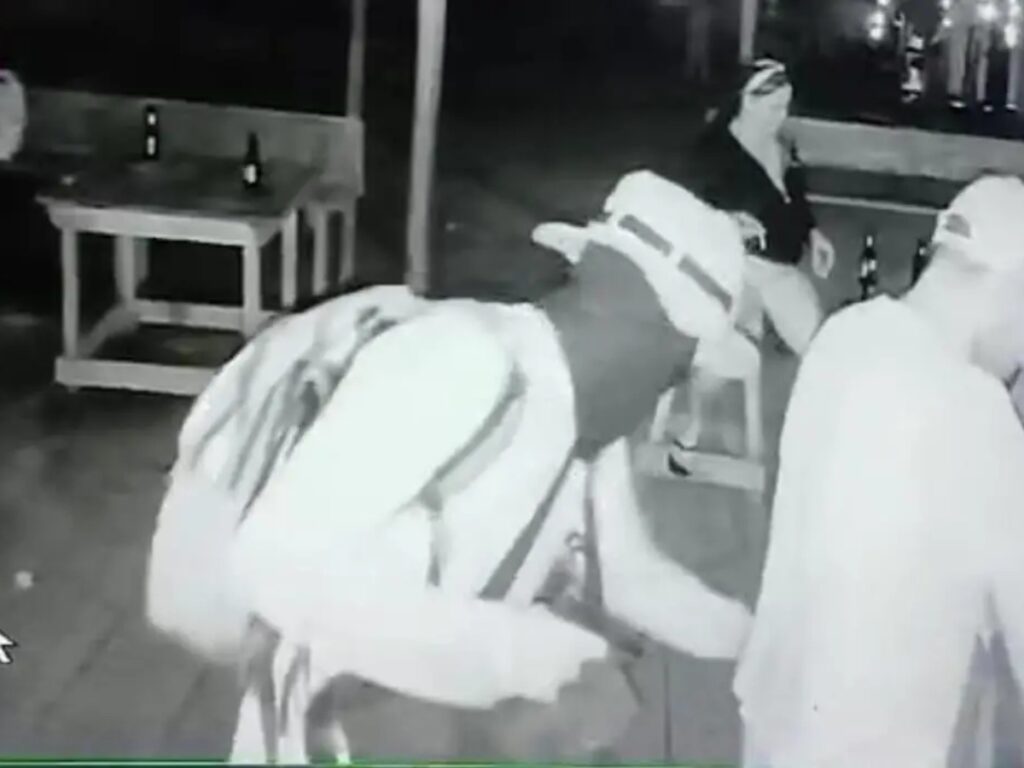 collage 2026 02 03T202521.021