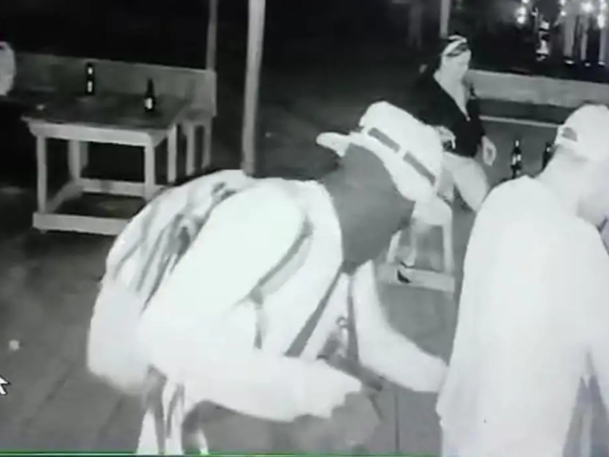 collage 2026 02 03T202521.021