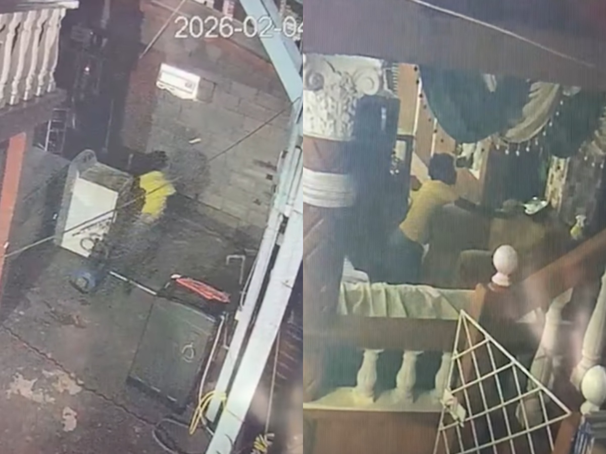 collage 2026 02 04T102259.072