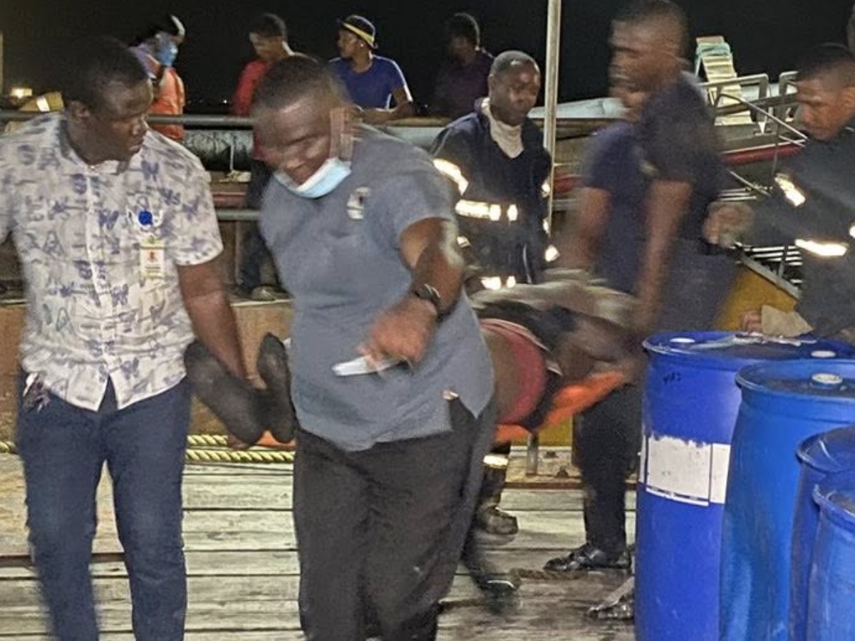 collage 2026 02 04T205300.295