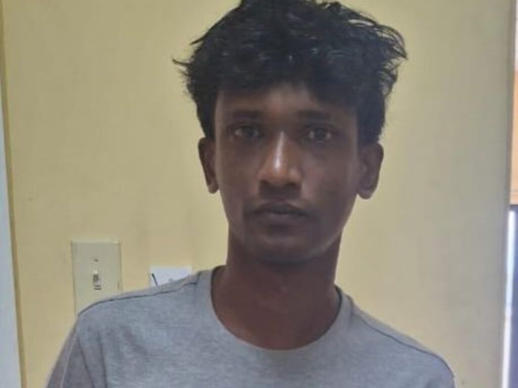 collage 2026 02 05T162455.350