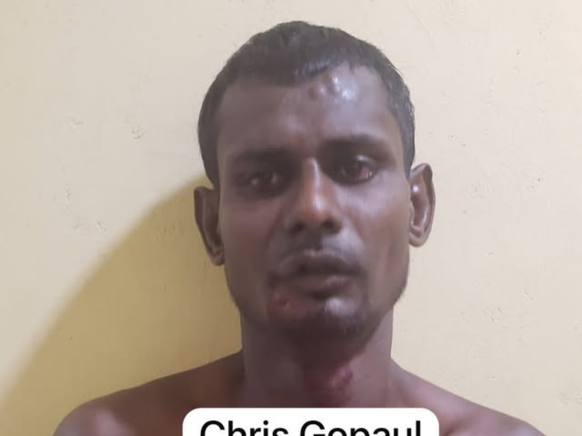 collage 2026 02 05T163126.027