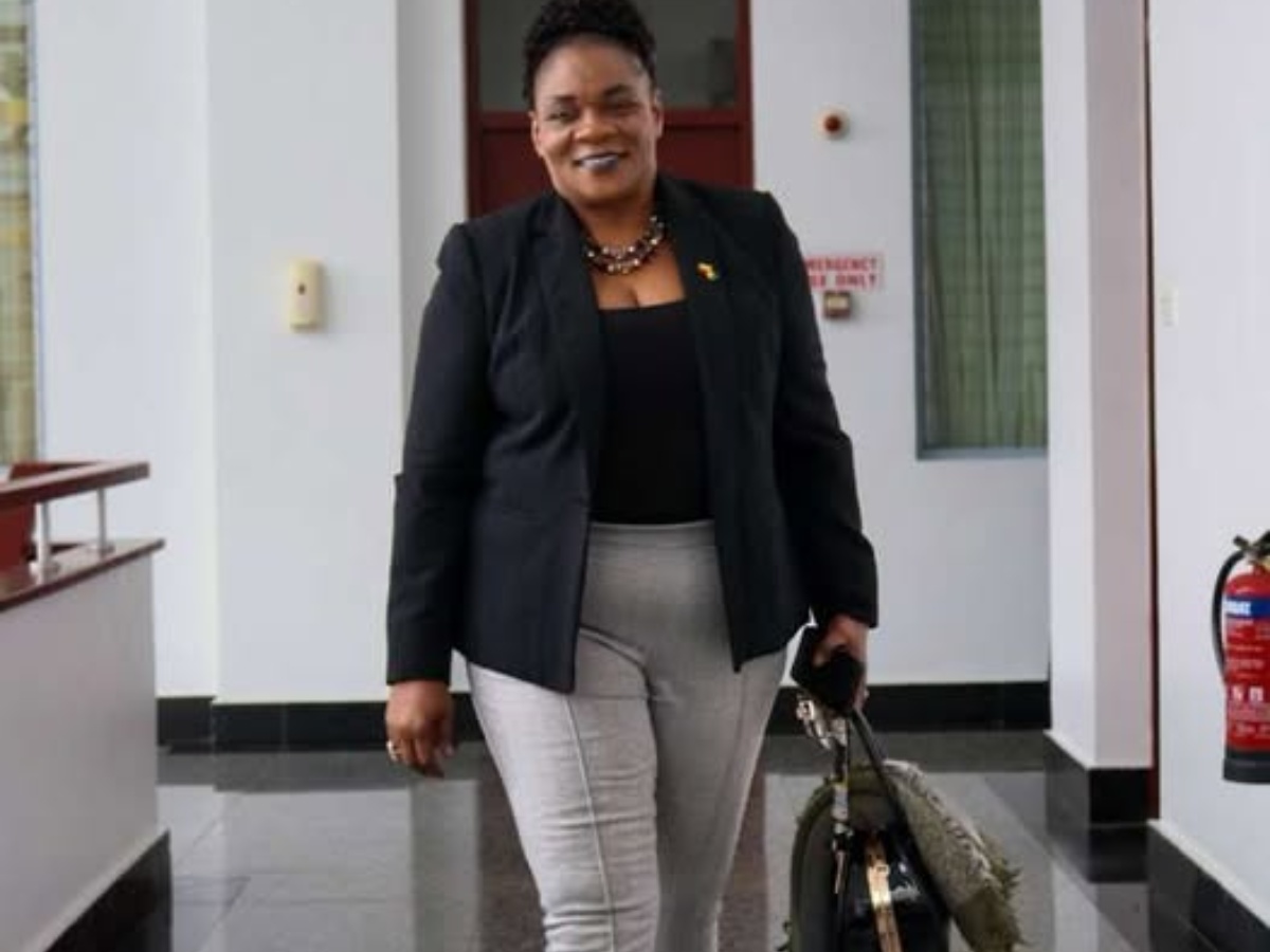 collage 2026 02 05T170913.946