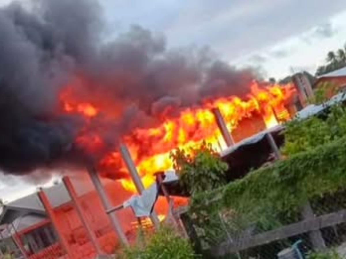 collage 2026 02 05T222426.361