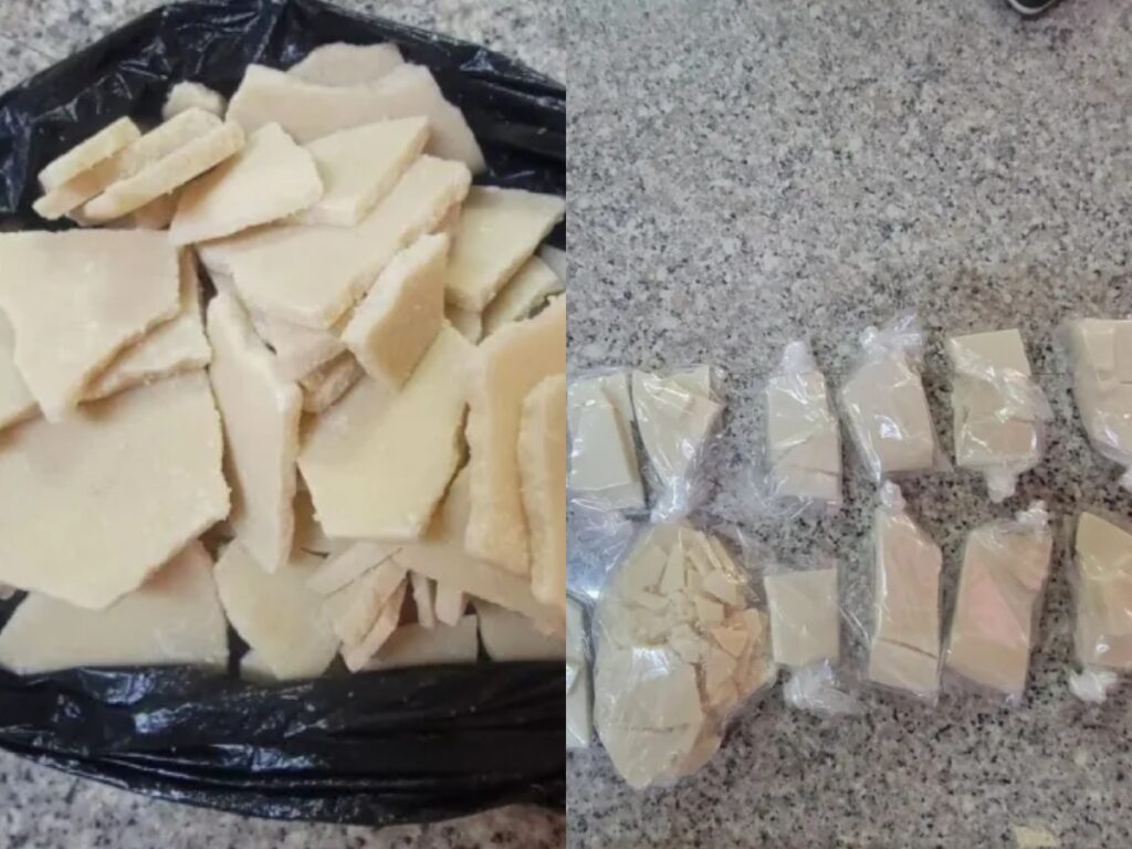 collage 2026 02 06T155939.401