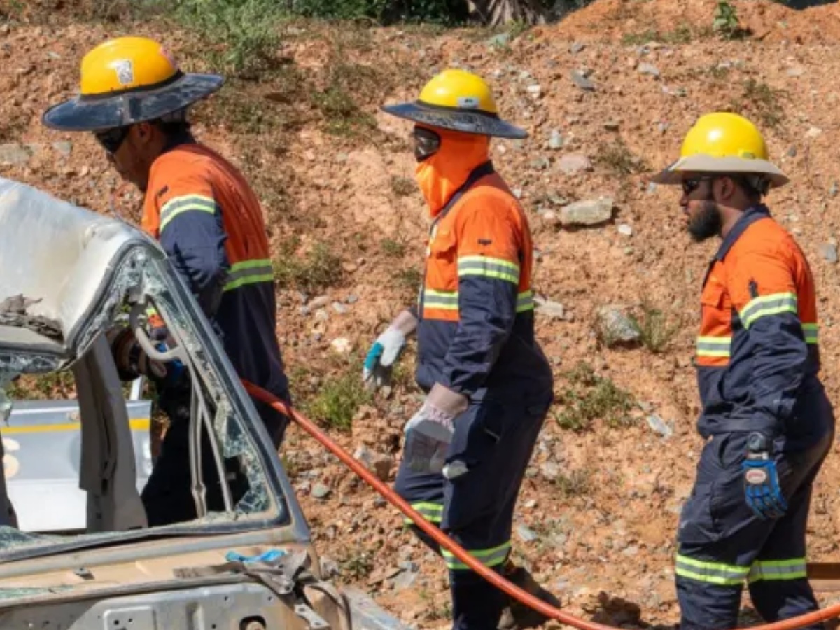 collage 2026 02 06T162233.107