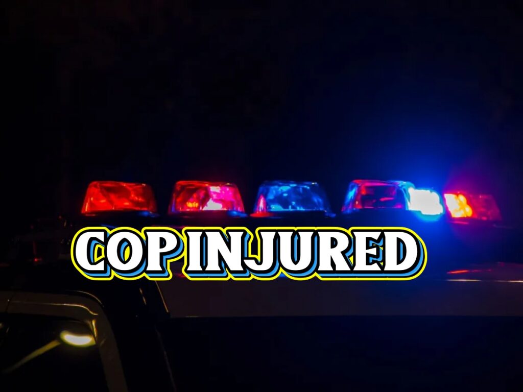 collage 2026 02 06T162541.418