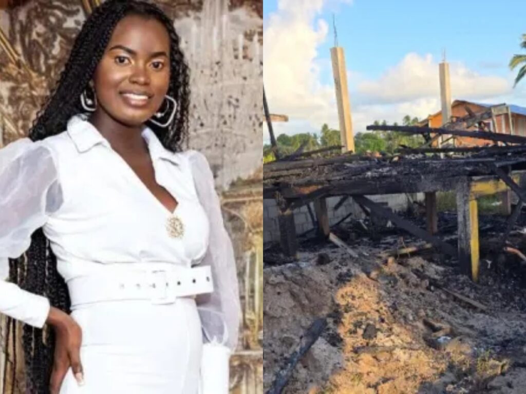 collage 2026 02 06T175819.548