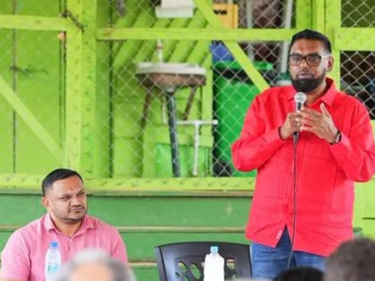 collage 2026 02 06T184539.302