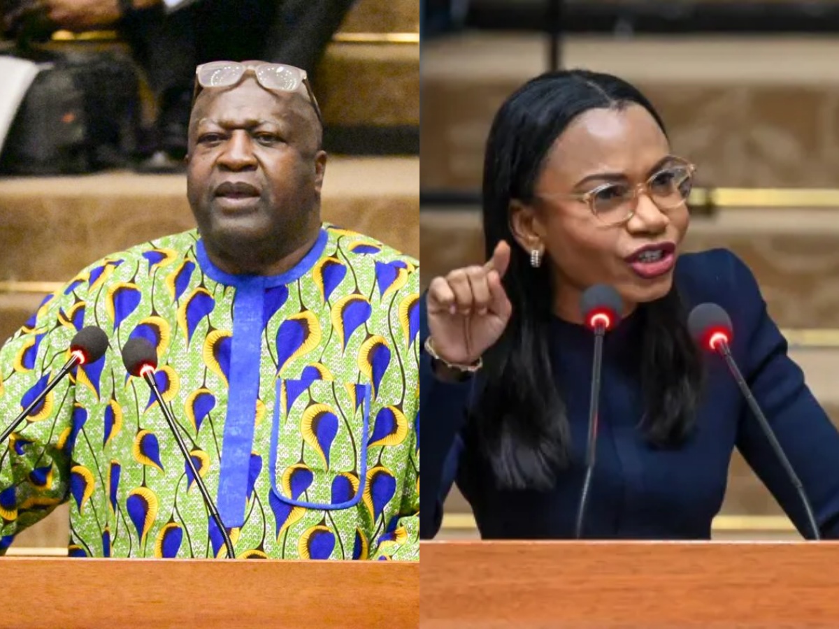 collage 2026 02 06T190555.533