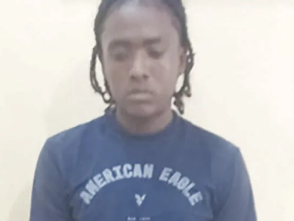 collage 2026 02 07T190233.620