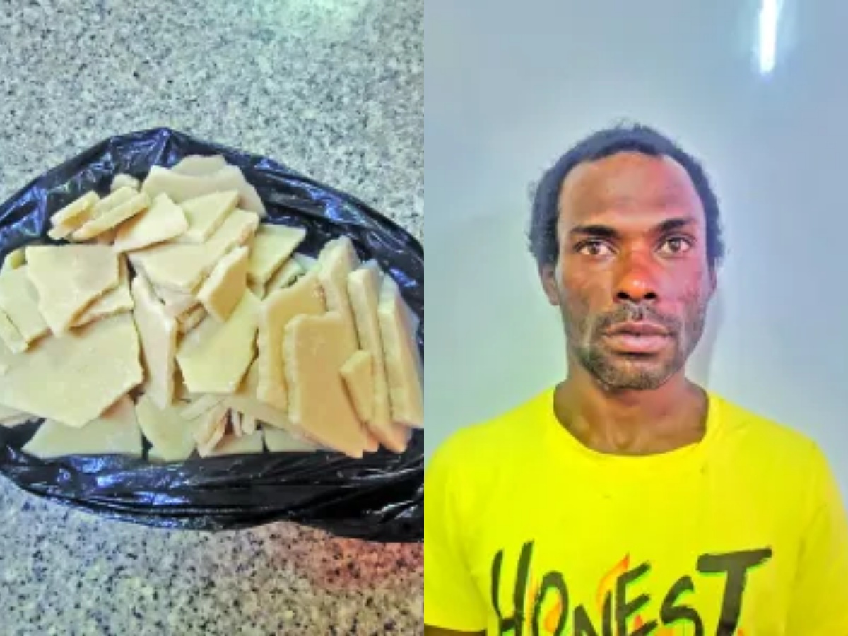 collage 2026 02 07T193335.626