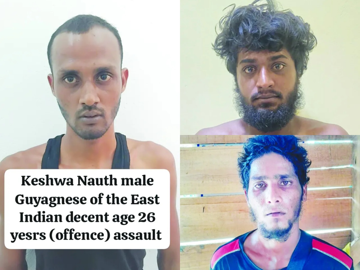 collage 2026 02 07T195218.272