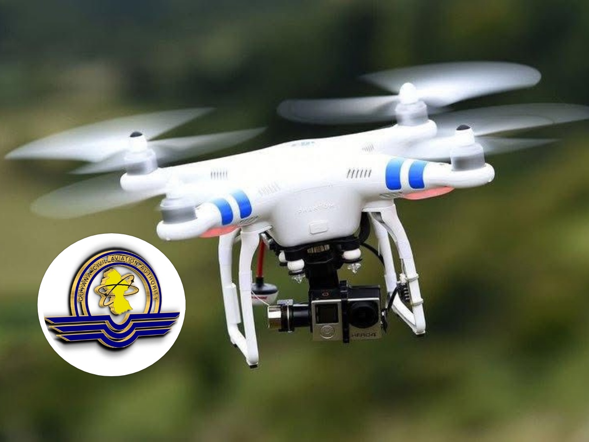 collage 2026 02 08T145551.363