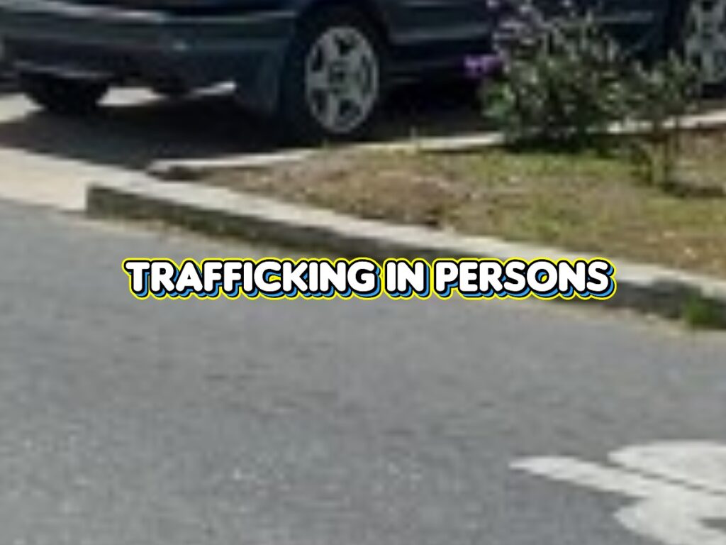 collage 2026 02 08T153657.552