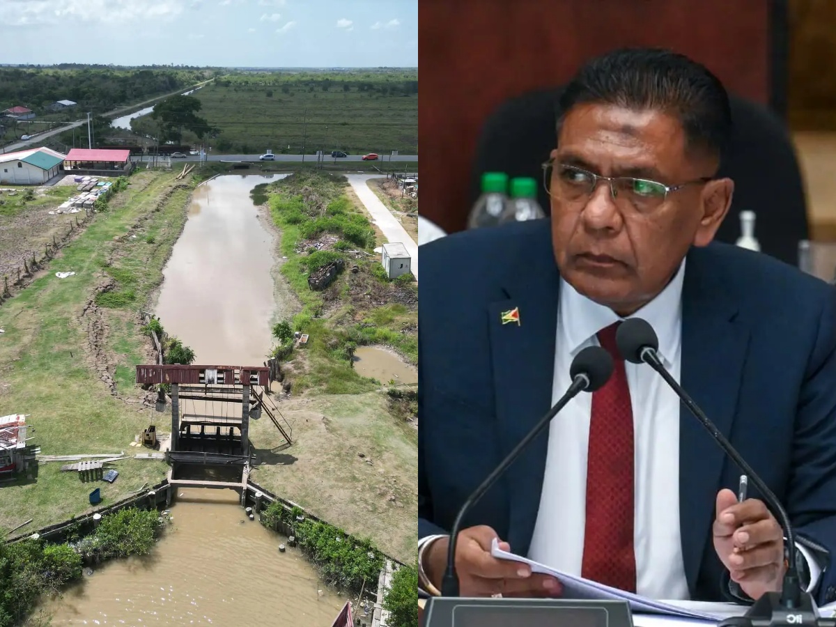 collage 2026 02 10T205943.230