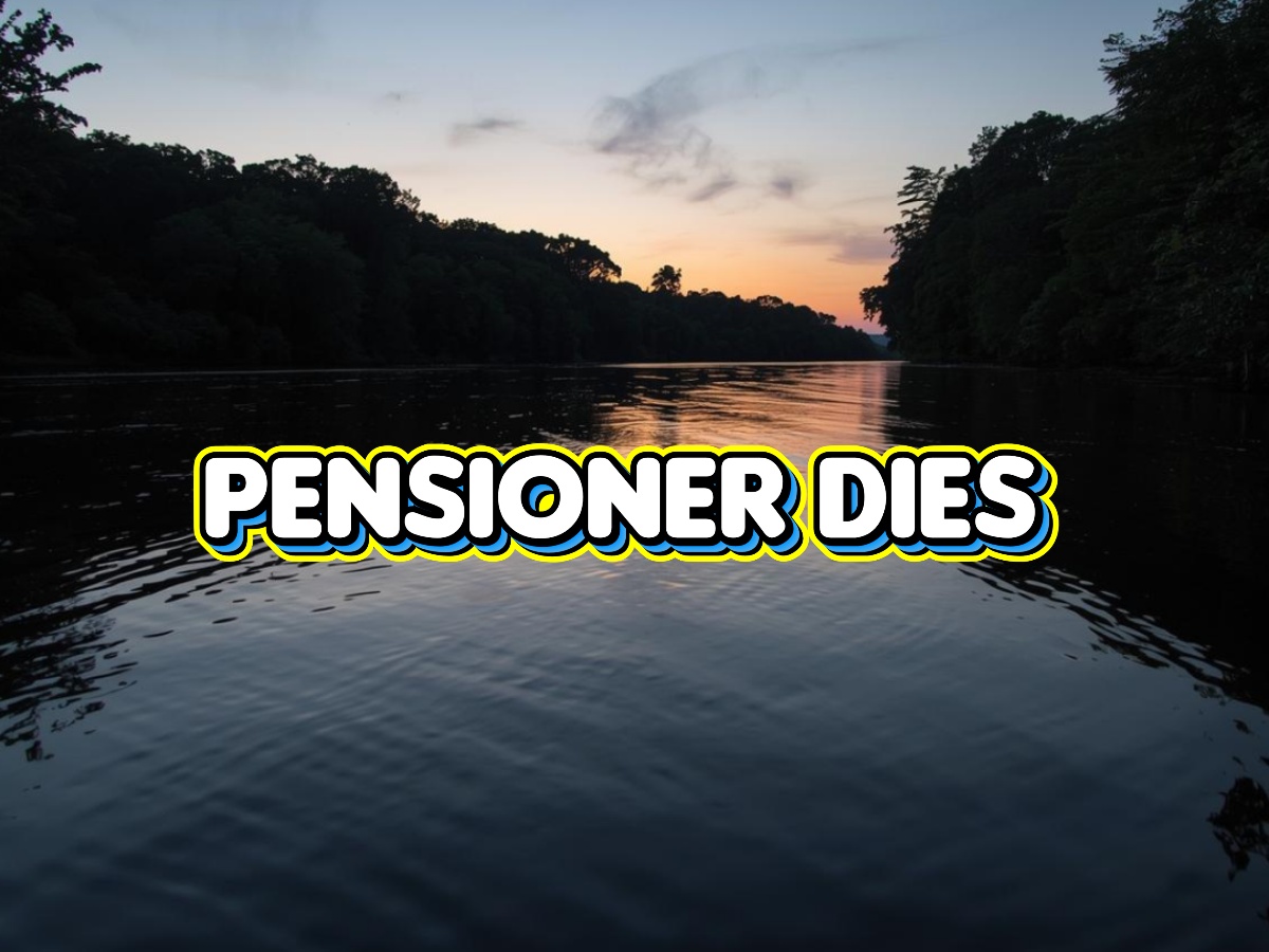 collage 2026 02 10T213642.719