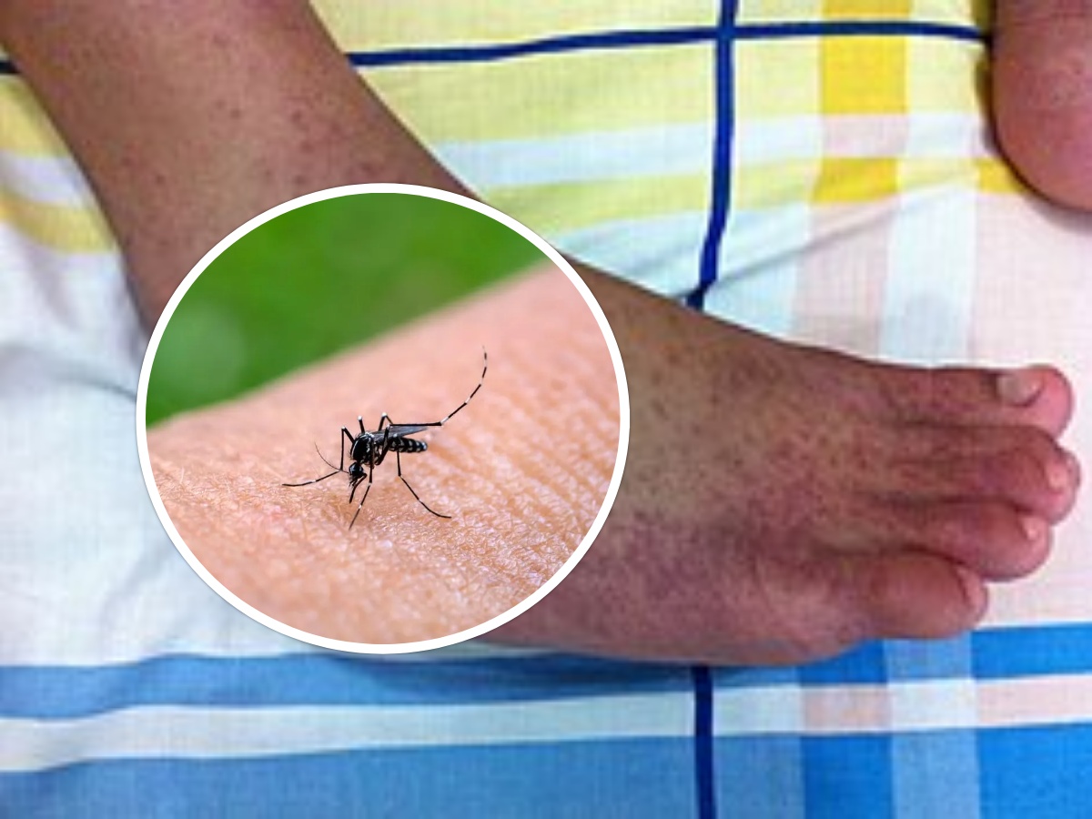 collage 2026 02 11T203002.079