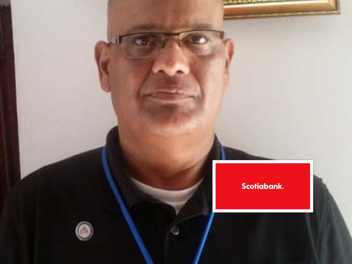 collage 2026 02 11T211524.469