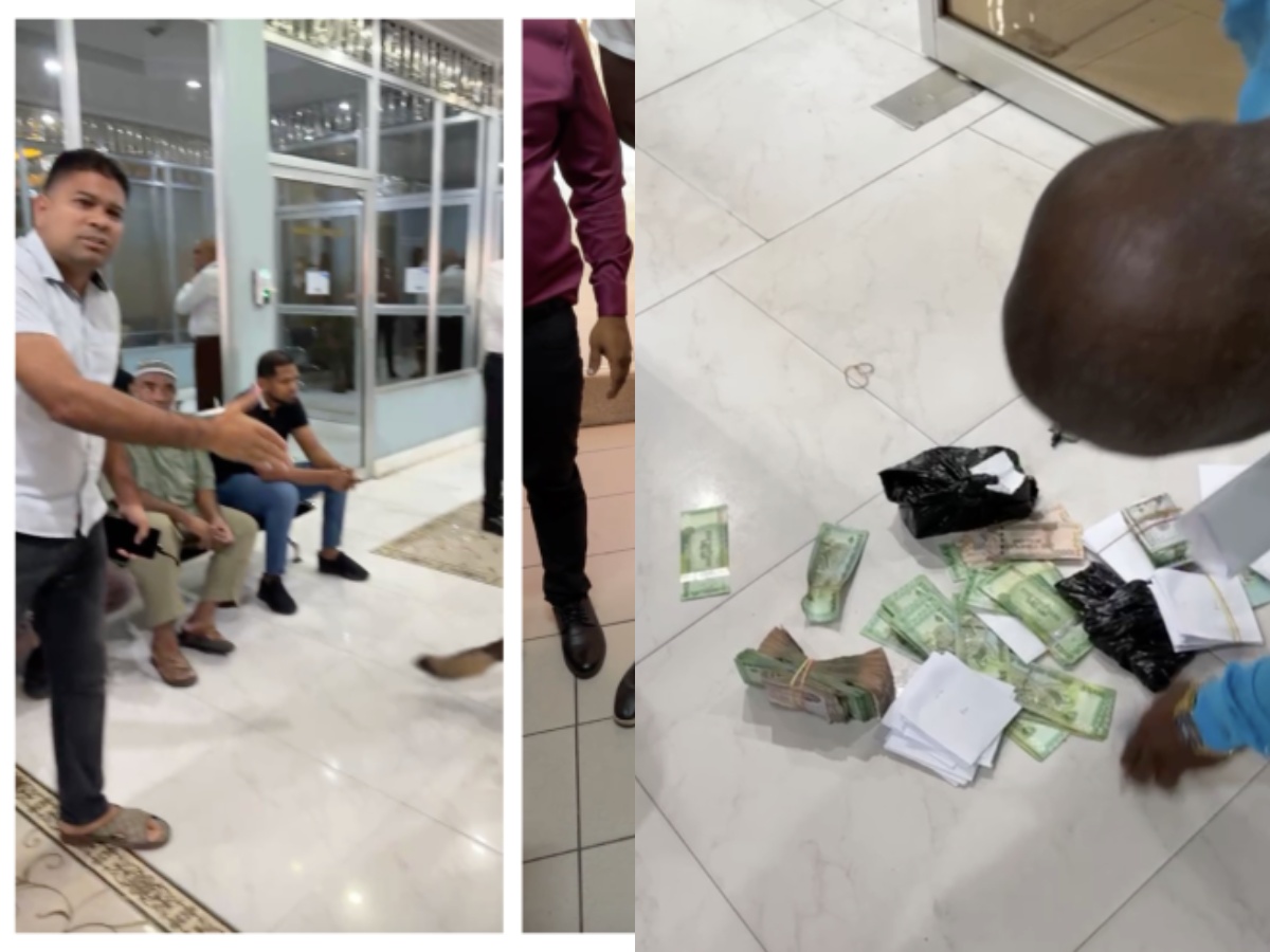 collage 2026 02 11T212223.344