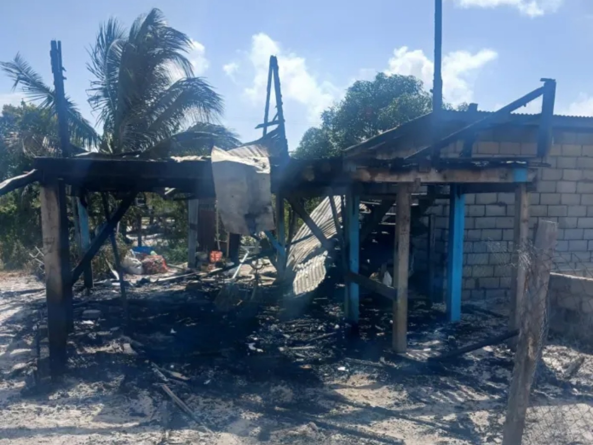 collage 2026 02 11T213355.973