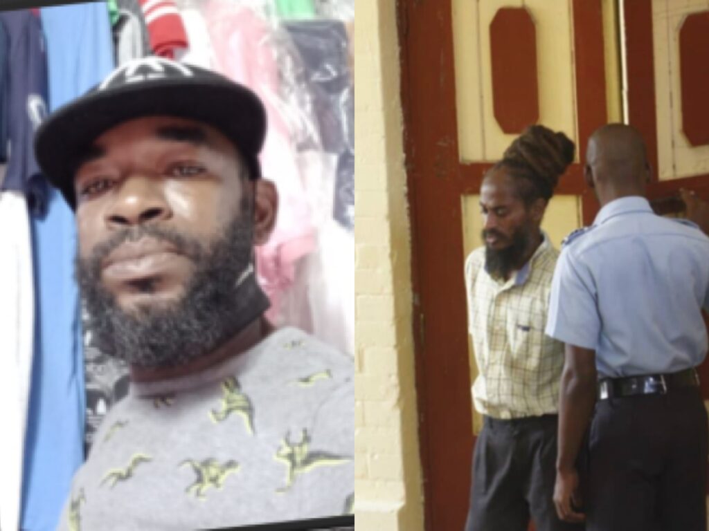 collage 2026 02 11T214027.496