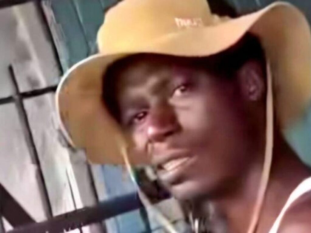 collage 2026 02 11T215331.712