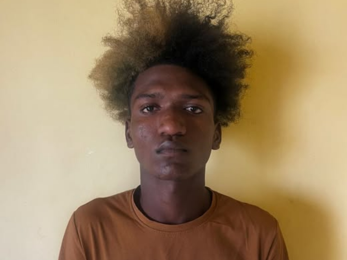 collage 2026 02 12T155920.688