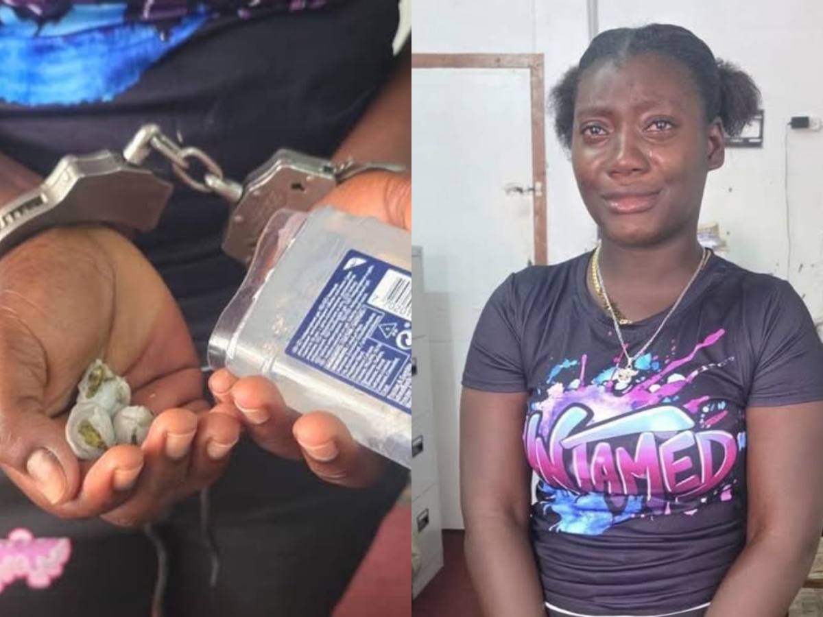 collage 2026 02 12T163436.863