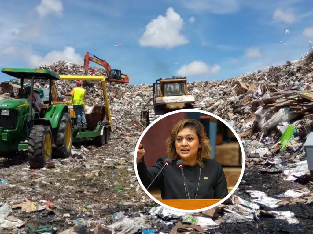 collage 2026 02 12T205915.186