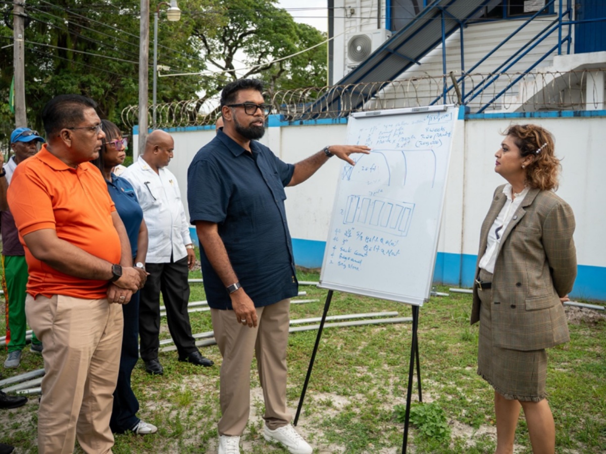 collage 2026 02 12T210923.668