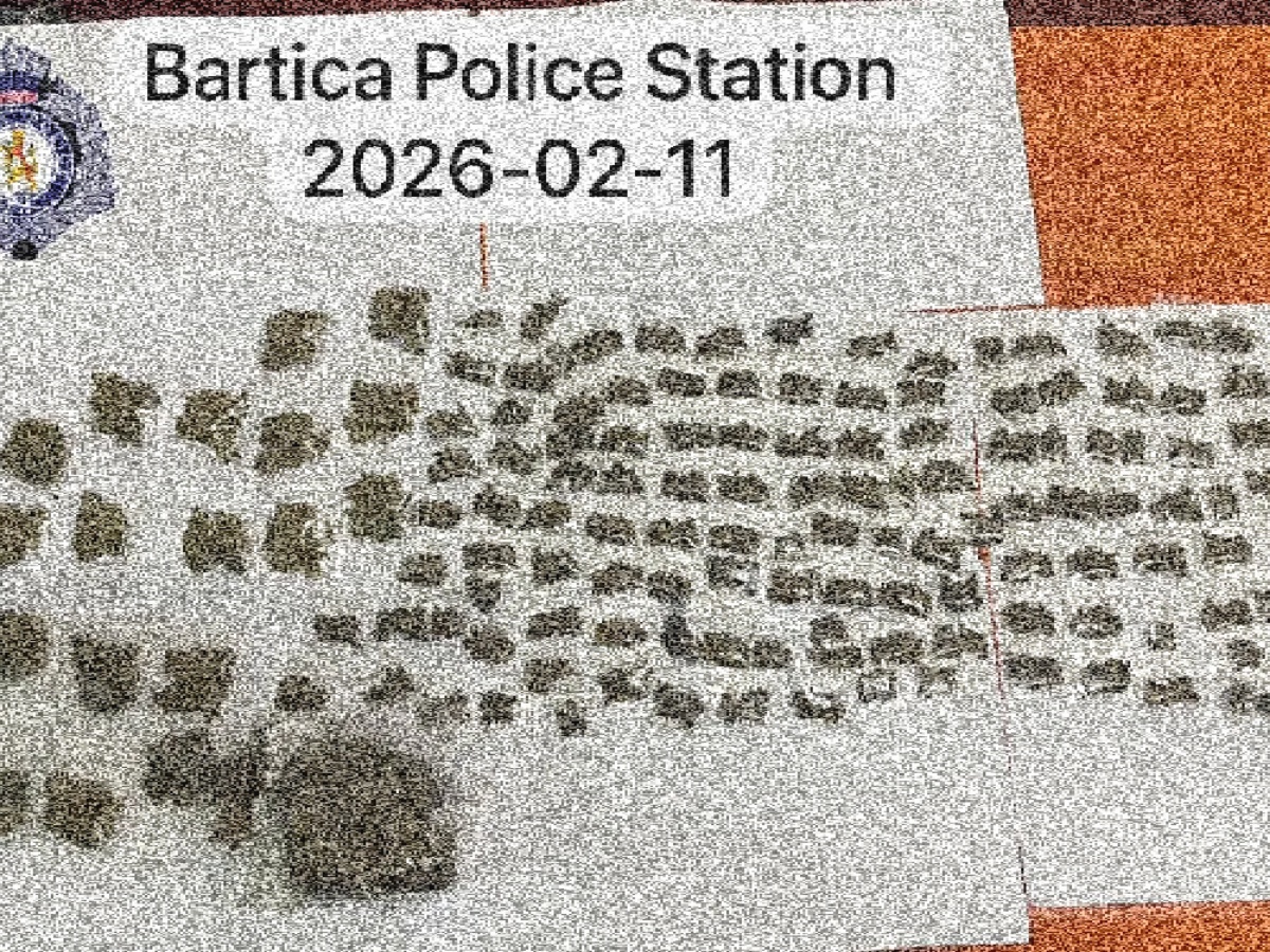 collage 2026 02 12T212119.895